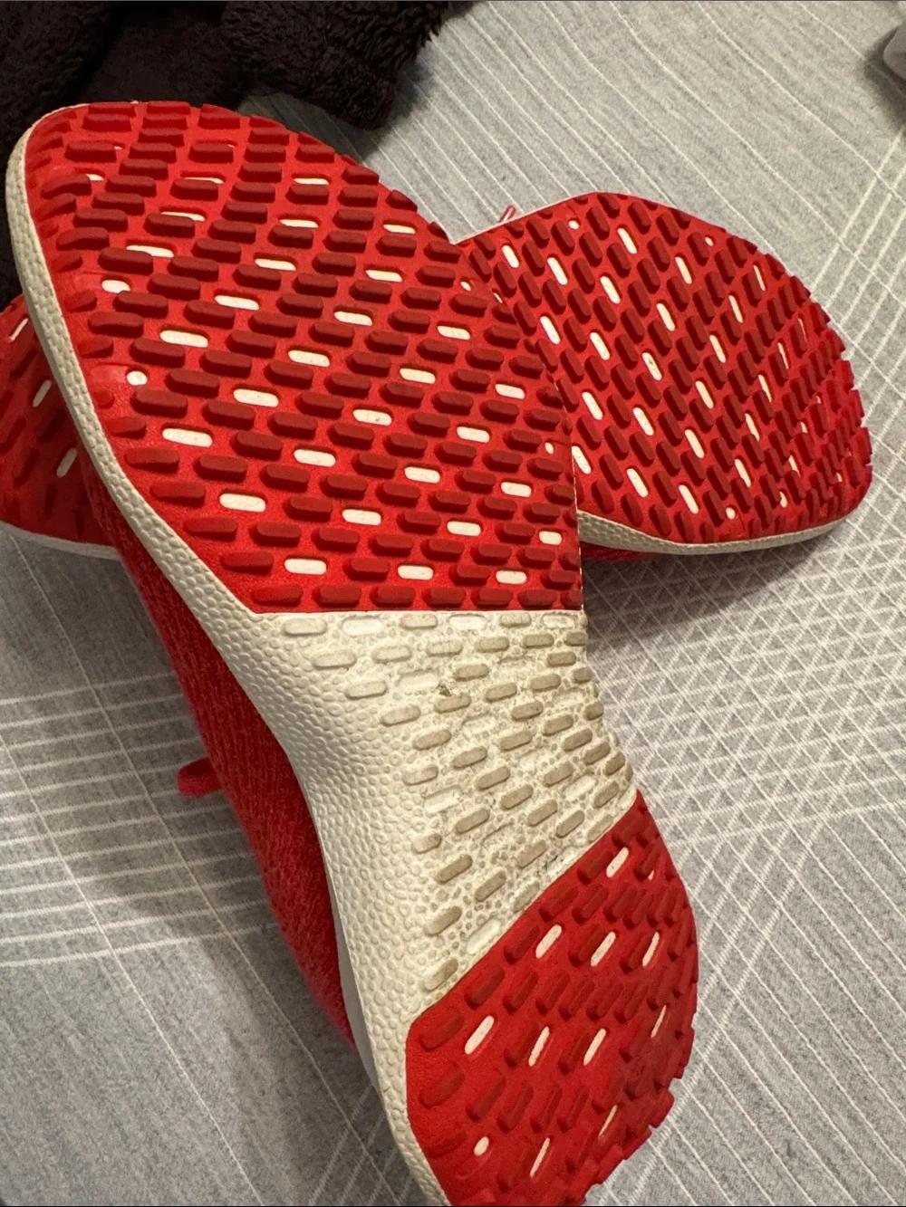 allbirds Women's Tree Dasher 2 Knit Sneaker — Bright Red